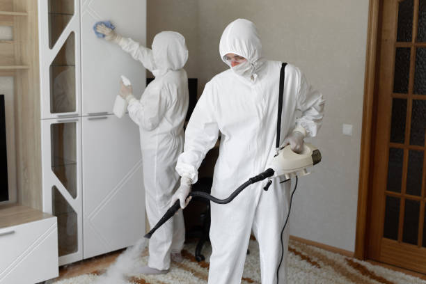 Trusted Sewage Cleanup service in Evansville, IL - Four Month Blood Cleanse